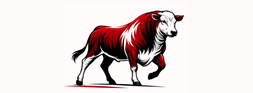 comprar carne de novillo argentino